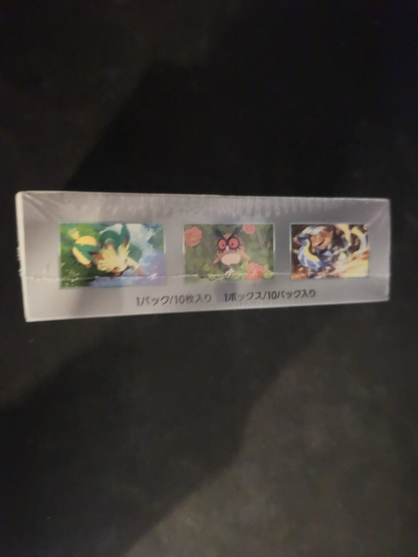 Terastal Festival ex Booster Box - SV8a Japanese