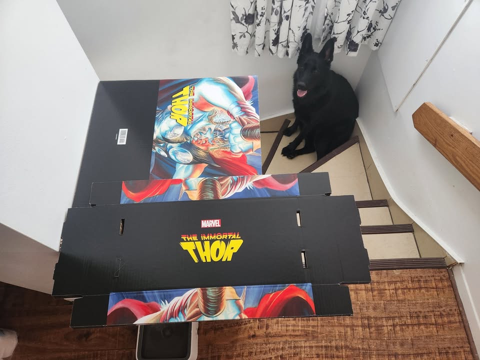 The Immortal Thor Short Comic Box