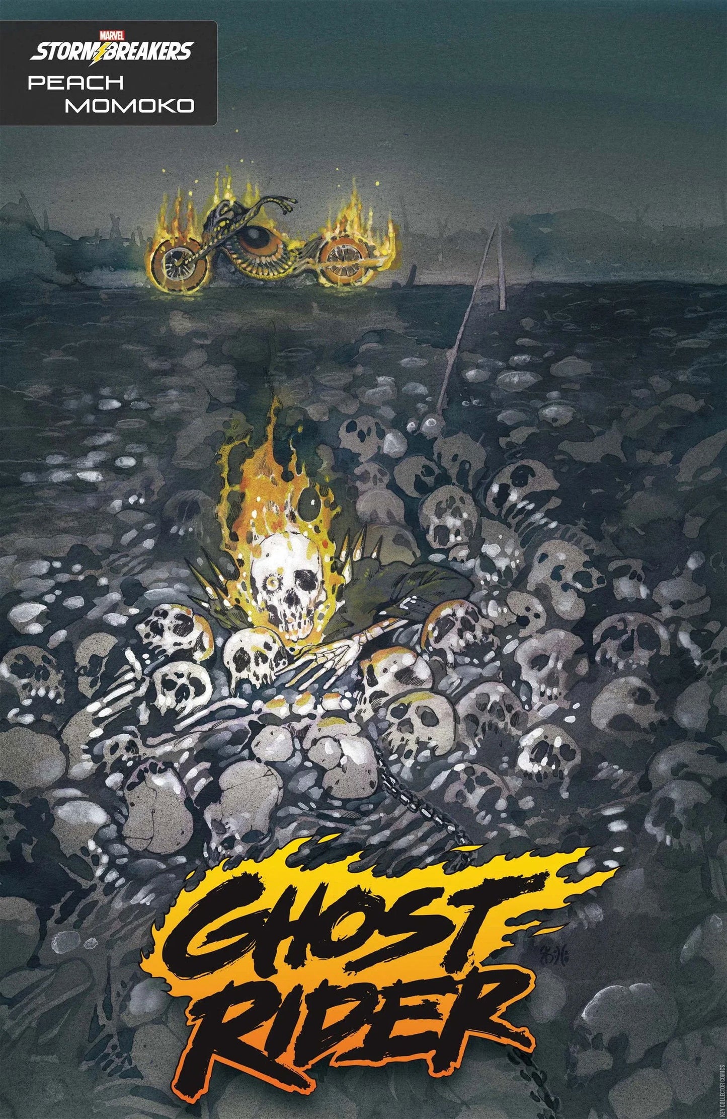 GHOST RIDER #3 MOMOKO STORMBREAKERS VARIANT