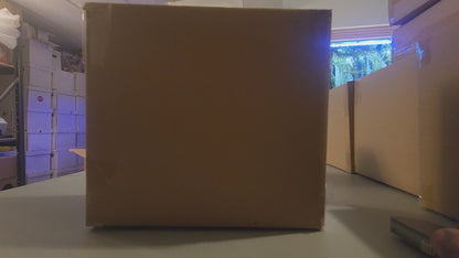 Acrylic Pokémon Etb Magnetic Protector case