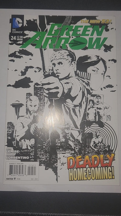 Green Arrow #24 Variant ⋅ DC ⋅ 2013